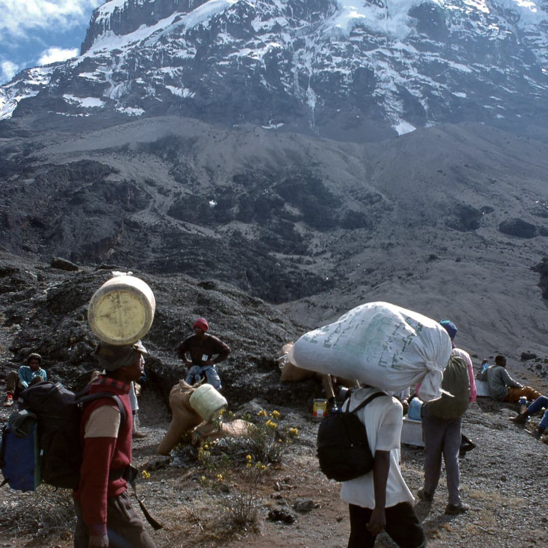 Sherpas y Mentoring